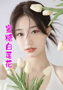 蜜糖白莲花小说