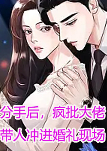 舒向婉季延修小说结局是什么